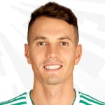 A. Shvets photo