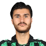 C. Çelik photo
