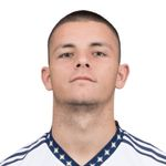 D. Joveljić photo