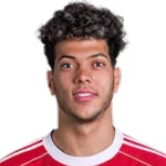 Emam Ashour photo