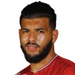 F. Bahlouli photo