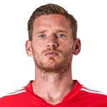 J. Vertonghen photo