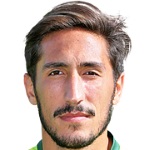 João Góis photo