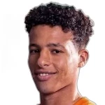 Khaled Shefo photo