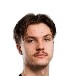 L. Väyrynen photo