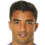 Sami Allagui photo
