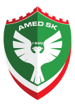 Amedspor U19 logo