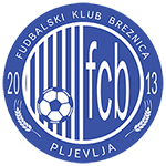 Breznica W logo