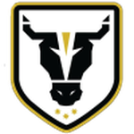 Bulls Academy logo