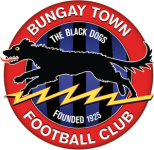 Bungay Town W logo