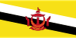 Brunei logo