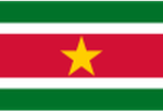 Suriname W logo