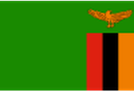 Zambia U17 logo