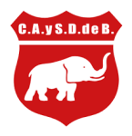 Defensores Vr logo
