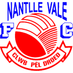 Dyffryn Nantlle Vale logo