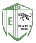 Essamaye logo
