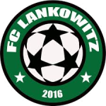 Lankowitz logo