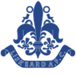 Liskeard Athletic W logo