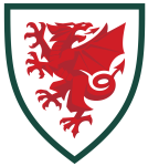 Llanllyfni logo