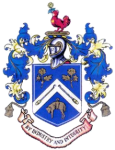 Nelson logo