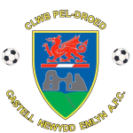 Newcastle Emlyn logo