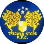 Treowen Stars logo
