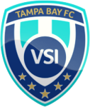 VSI Tampa Bay logo