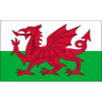 Wales U18 logo