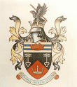 Wednesfield logo