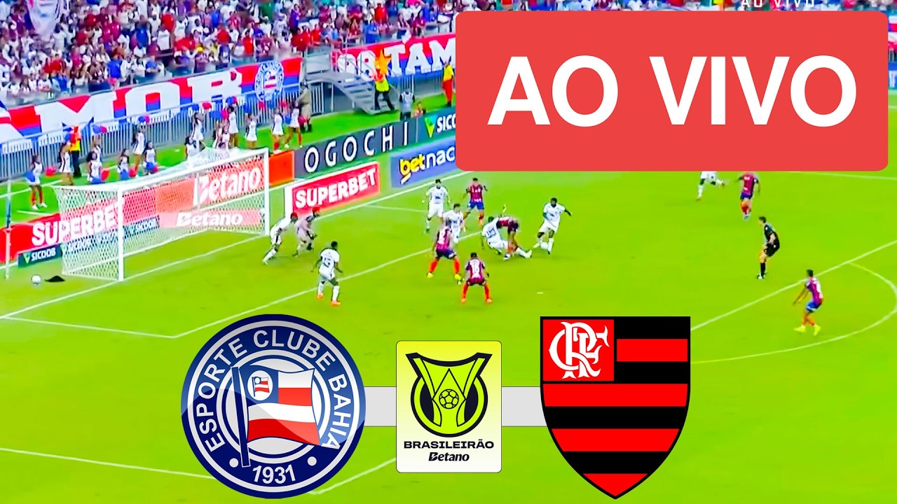 Bahia vs Flamengo highlights